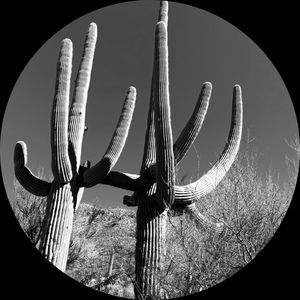 Meet your Posher, Bill